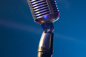 provide vocal tuning for one track
