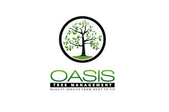 create an environmentally aware peaceful tree company logo