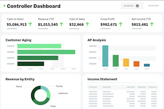 provide expert budget controlling and financial analysis