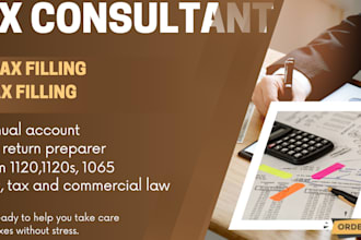 prepare USA individual or business income tax return