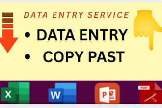 do data entry, copy paste, web research, excel data entry, pdf to excel