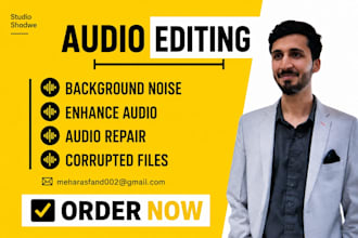 do audio cleanup, noise reduction and audio restoration