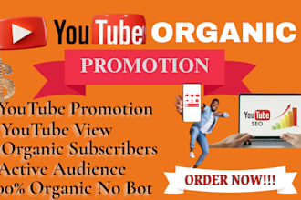 do organic youtube promotion channel growth organic views subs for monitization