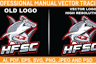 do vectorize, vector trace logo and graphics