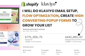 manage klaviyo email setup, optimize flows, create popup form for list growth