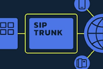 setup sip trunk spoof api auto dialer voip 3cx bulk sms caller id did number