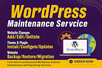 manage your website and provide wordpress maintenance and bug fixes