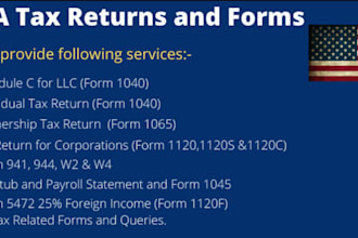 prepare and efile USA ca tax returns for personal partnership llc c corp s corp
