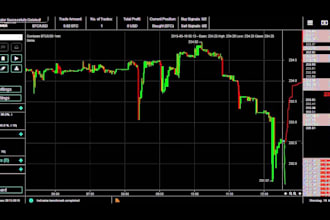 professional algorithmic trading bot development ninjatrader, crypto, hft
