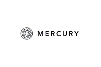 setup USA llc mercury bank wise and stripe bank account