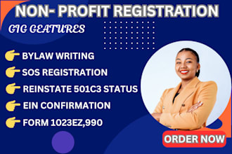 501c3 non profit registration, bylaw, 1023ez, coi reinstatement, form 990