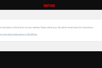 fix wordpress errors, bugs and broken websites