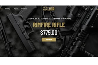 design 7 figure gun shopify ammunition store fire arms amour weapon website