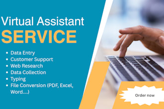 be your efficient and detail oriented virtual assistant