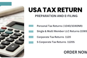 do USA individual tax return filing, corporate tax returns in 24 hours