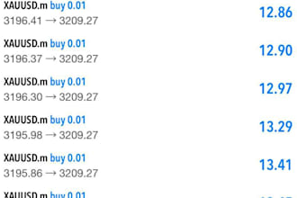 manage your mt5 or mt4 account, account management and make good daily profit