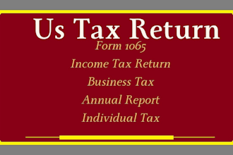 us tax filing, US tax returns, llc tax, business tax 1120 5472 1040 cpa