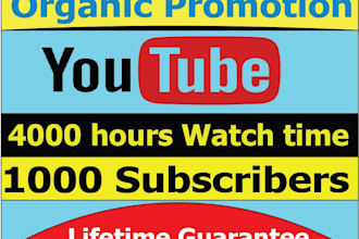 shoutout your youtube channel to over 1k USA followers