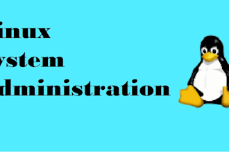 be your expert linux system administrator for any task