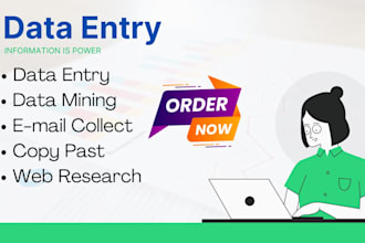 do web research data entry and online search