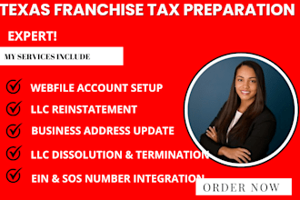 file your USA franchise tax return for llcs and corporations
