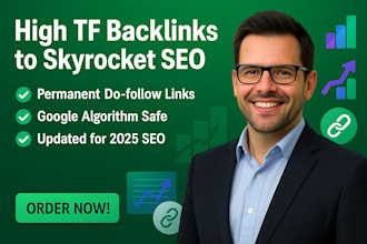 provide high trust flow tf backlinks for powerful SEO results
