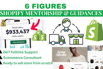 shopify mentor shoplfy expert shoplfy manager dropshipping mentor shopify sales