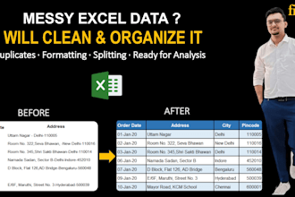 clean, format and fix excel data professionally