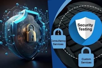 do vulnerability assessment and penetration testing of your website, network app