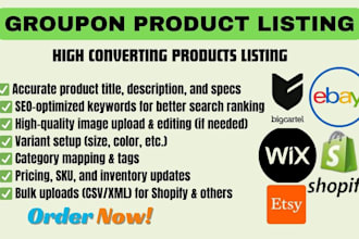 do professional listing on ebay, shopify, ebay, amazon groupon listing and more
