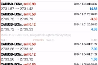 setup trading robot, forex ea bot, hft bot, gold ea