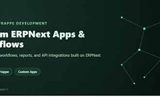 be your expert erpnext developer for customization