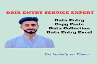 do professional data entry, ms office tasks, and graphic design work