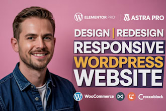 customize wordpress website expert plugin with elementor pro and astra pro