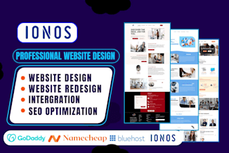 build your website hosted in ionos or hostinger website or bluehost website