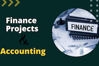 do expert level finance tasks, accounting tasks, and excel reports