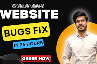 superfast fix wordpress bugs, errors and issues