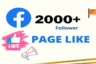 do organic facebook page promotion to increase followers