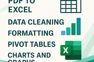 convert, clean, and format excel data professionally