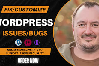 fix divi theme issues and customize your wordpress website professionally