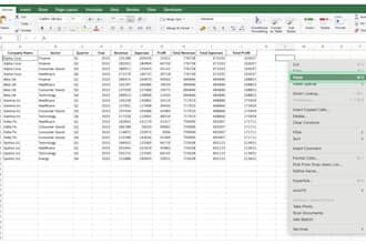 clean, format and split excel data