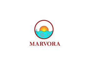 design a professional and urgent sea logo in 24 hours