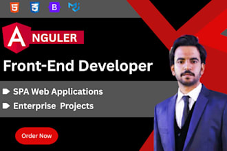 mid level angular architect for spa, and enterprise projects