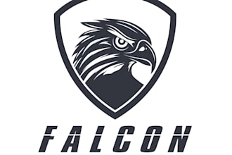 design wonderful excellent hawk logo with unlimited revision
