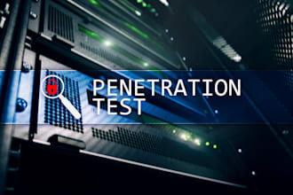 perform penetration testing and vulnerability scanning for websites and networks