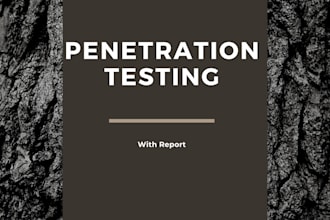 do penetration test on your website and give a specific report