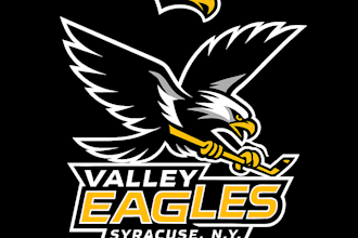 do custom sport logo design for you