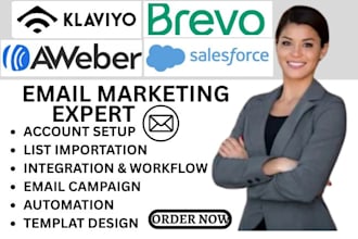 do braze litmus zoho mail aweber omnisend getresponse brevo sales force klaviyo