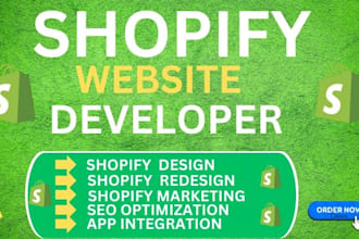 design a stylish and responsive shopify clothing store