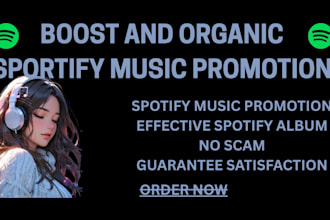 hit spotify streams, spotify album marketing